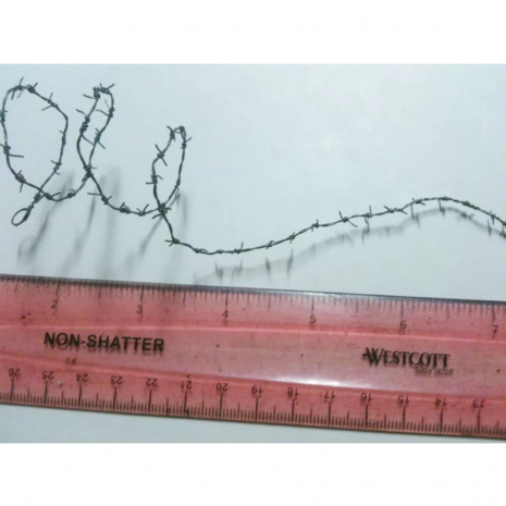 12" miniature barbed wire