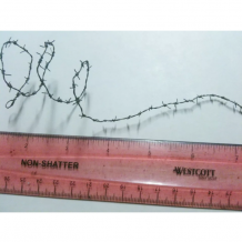12" miniature barbed wire
