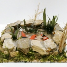 Miniature Koi Ponds Miniature Koi Ponds