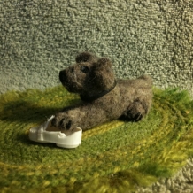 Miniature Pets