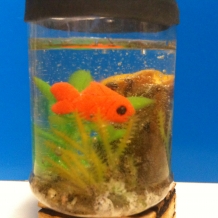 img_0289.jpg img_0289.jpg