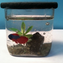 img_7789.jpg img_7789.jpg