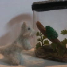 img_8985.jpg img_8985.jpg